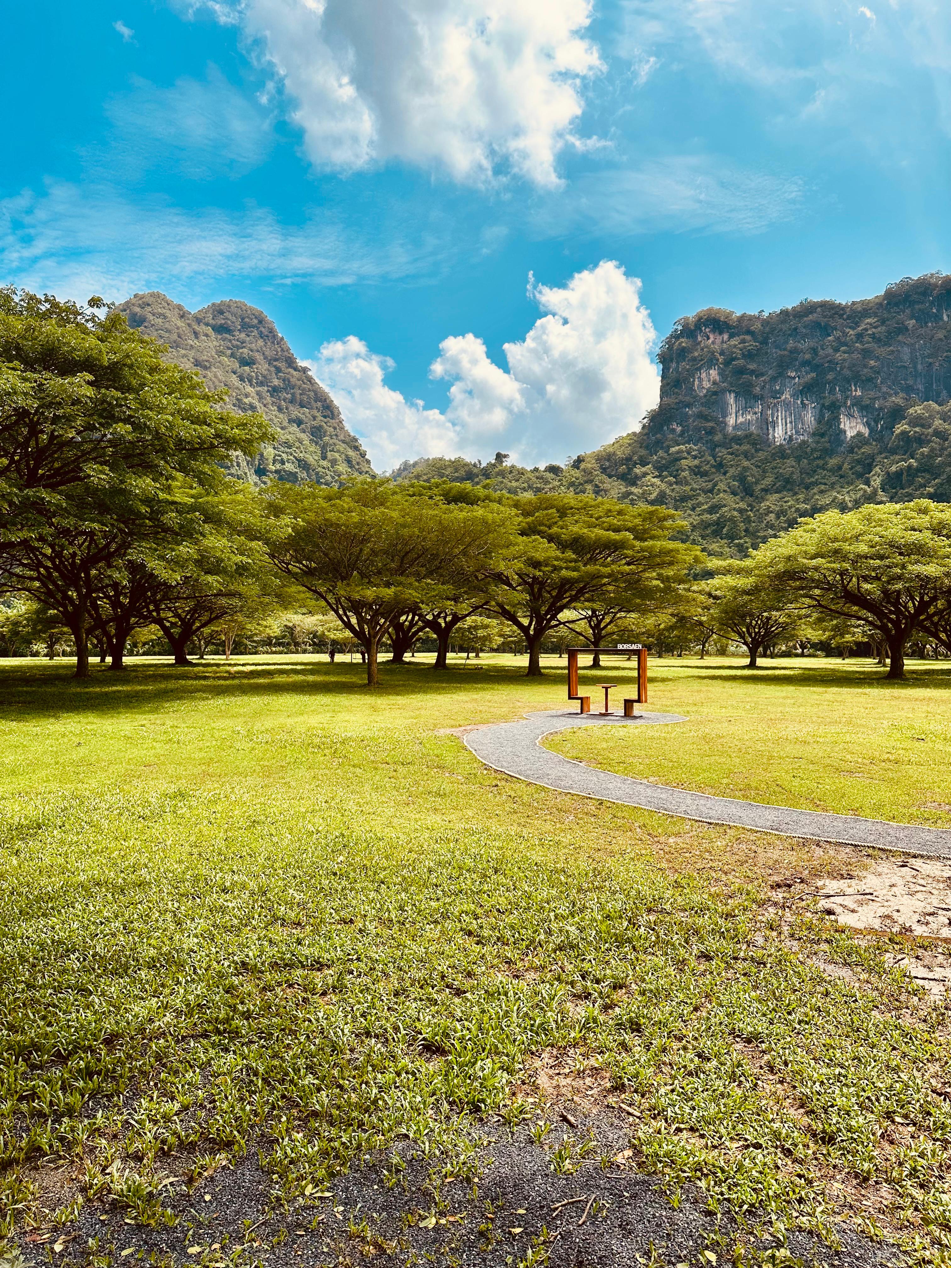 Tropical Paradise View