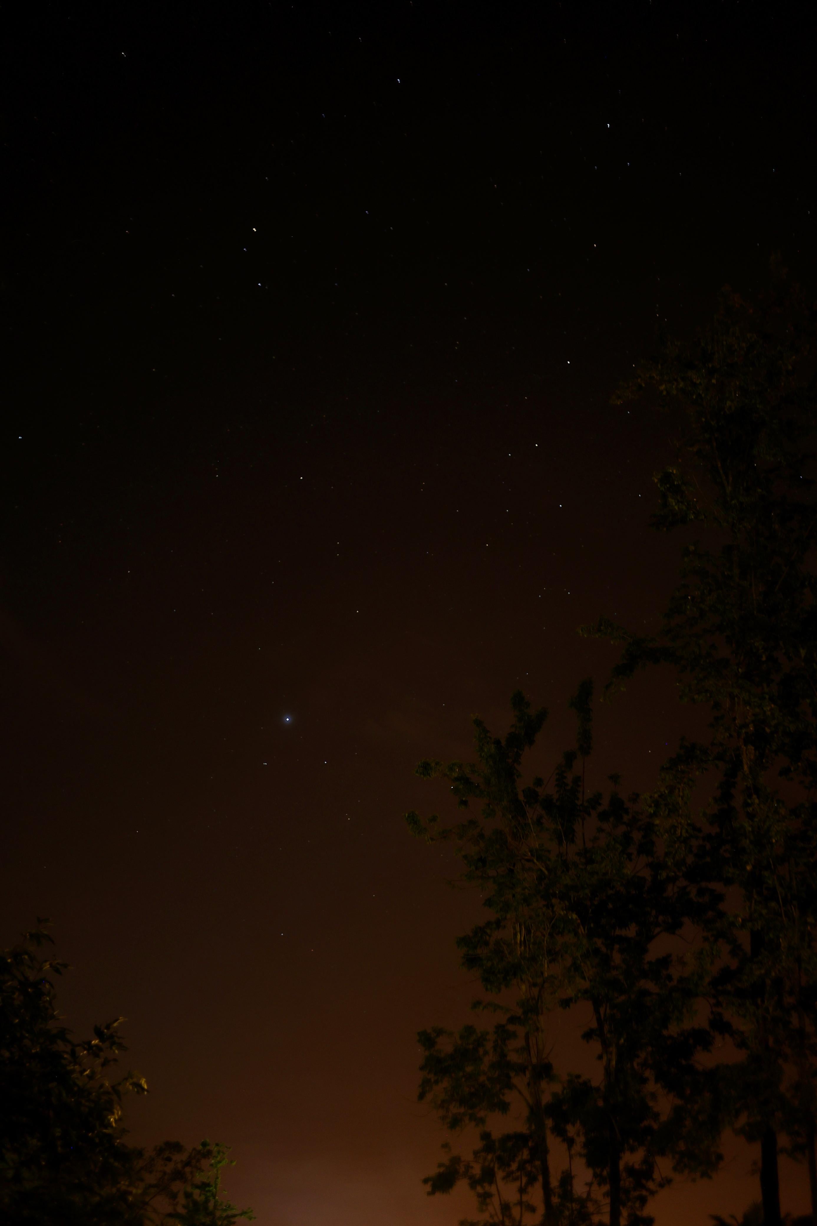 Tropical Paradise View