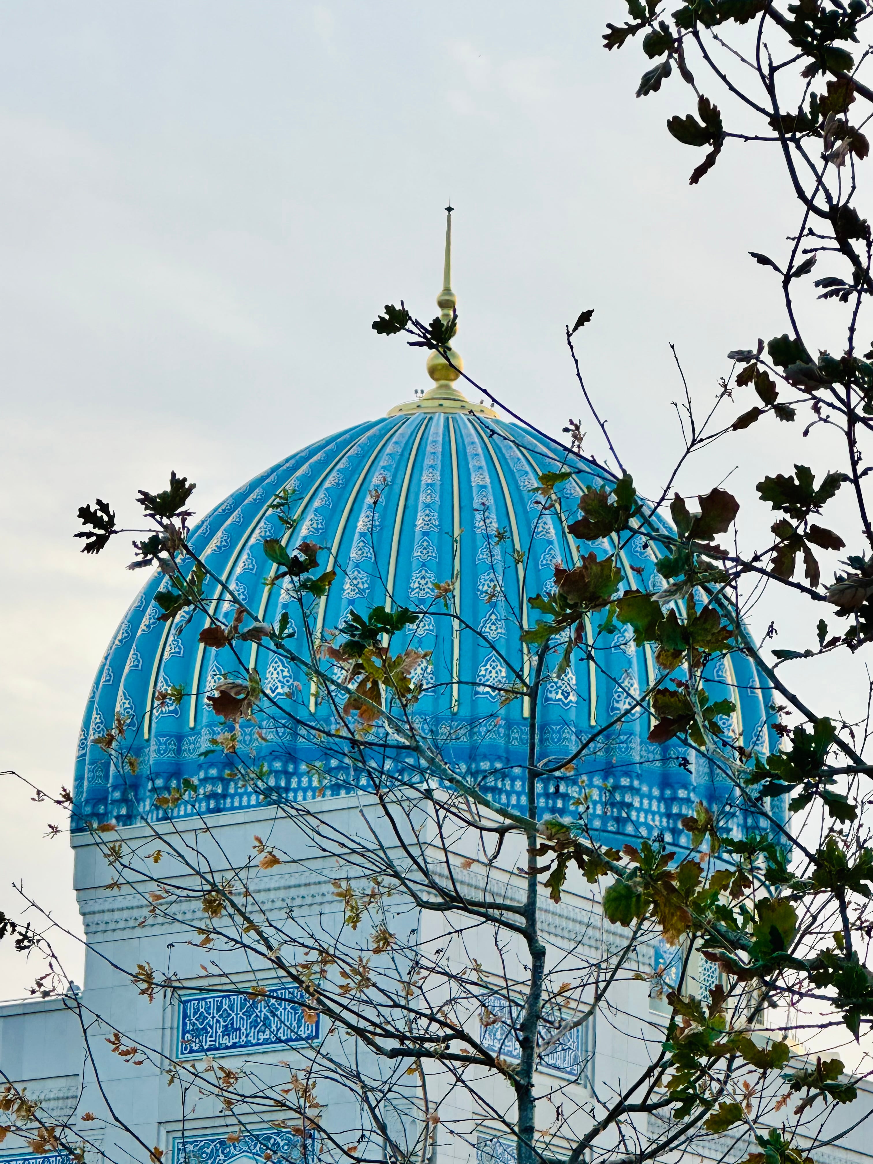 Majestic Architecture View